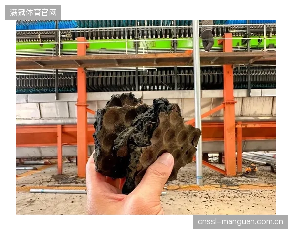 破解污泥处置费难题：广州亚运城体育馆如何通过优化MBR抽吸与反洗时序，实现污泥减量30%